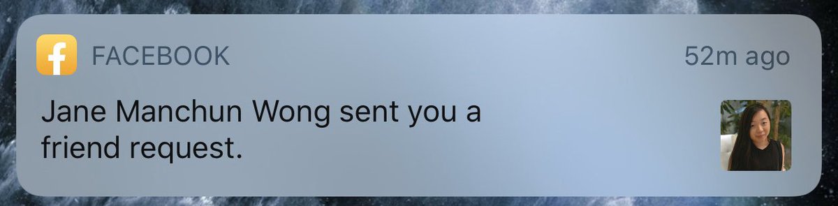 Facebook friend request from Jane Manchun