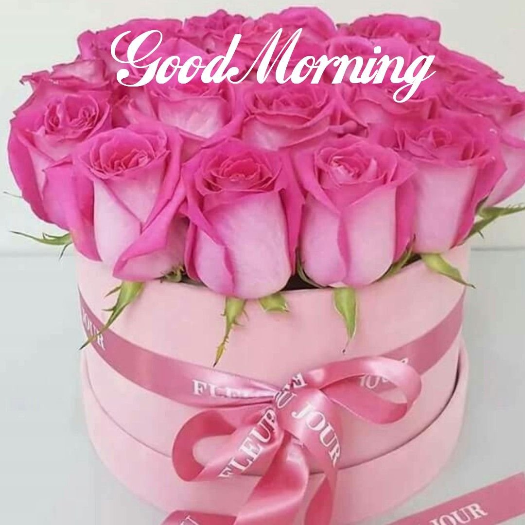 ranigill7's tweet photo. GOOD GOOD MORNING #FB FRIENDS🌹 #HappyMORNING ☀️🌹🌻☀️#PARAMJIT G , DR MANIK ,RUBY #PRAMOD JI #PARVEEN G ,HAPPY AND TIMPY ALI SANDHU, SUHANI ,ASHRAF G SHASTRY &amp;ALL @bluvd18 @RubyKha09925269 @Pinkysmile24 @123toabc @abct0xyz @sagheer_usmani @anuragbindal2 https://t.co/jTvS4fwJmG