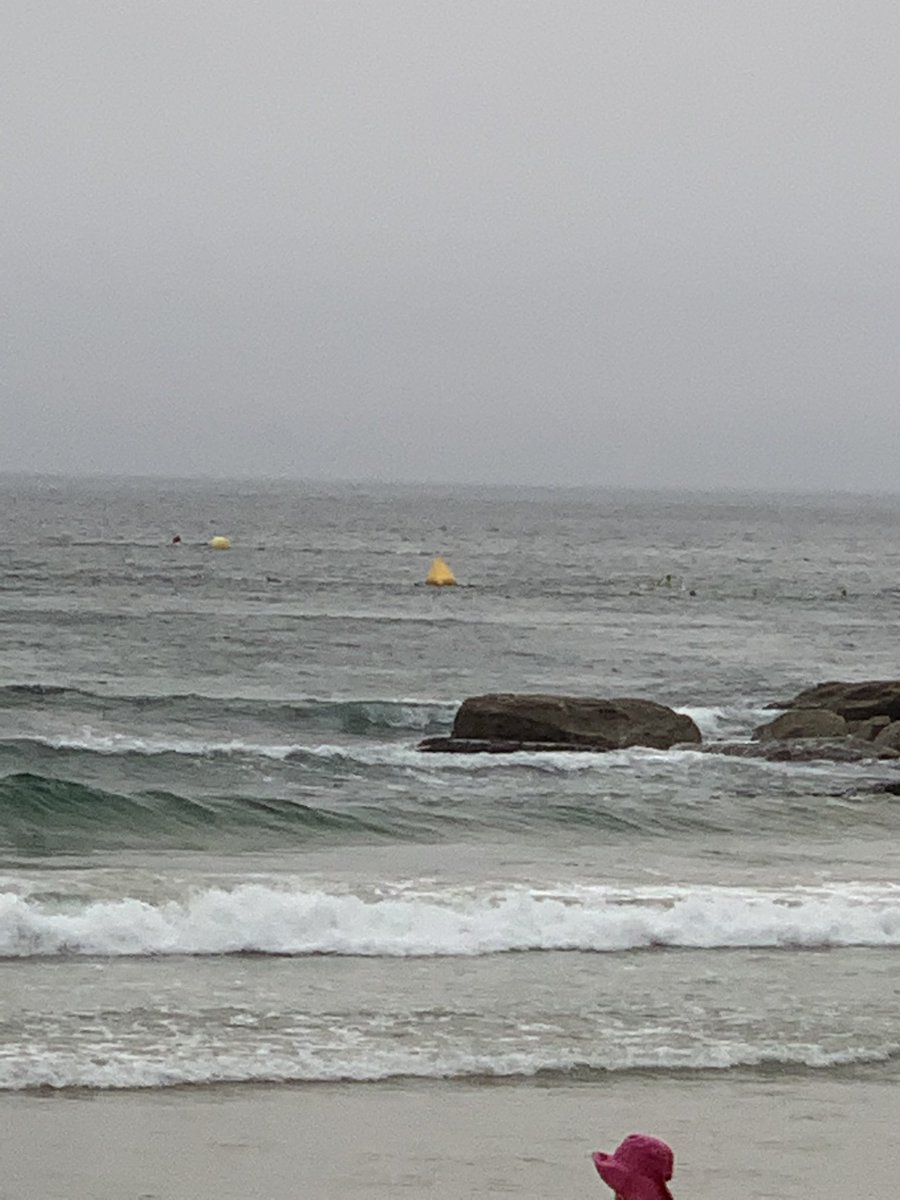 manifold12's tweet photo. Cole Classic this morning not swimming into Manly just Shelley to Shelley https://t.co/VfpoSwoGbg