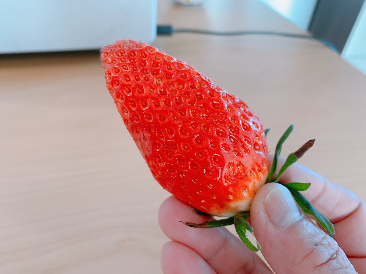 Nonnon1966S's tweet photo. おはようございます。
昨日いただいた苺は甘くてみずみずしい！一粒食べたら幸せな気持ちになれる苺。ありがとうございました。
本日はお陰様で満席です。お待ちしております。
#サロンアリス
#浜松市浜北区サロンアリス
#苺 https://t.co/JMZH3ZxQvh
