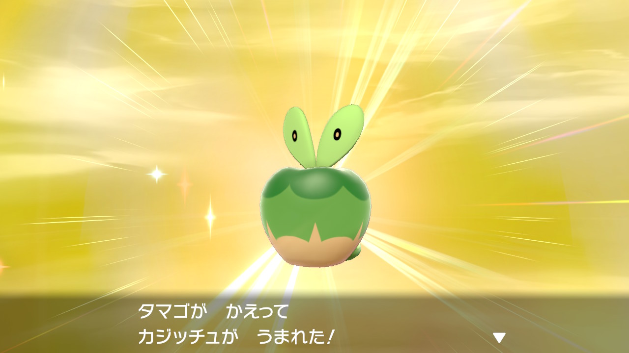色違いカジッチュ Twitter Search Twitter