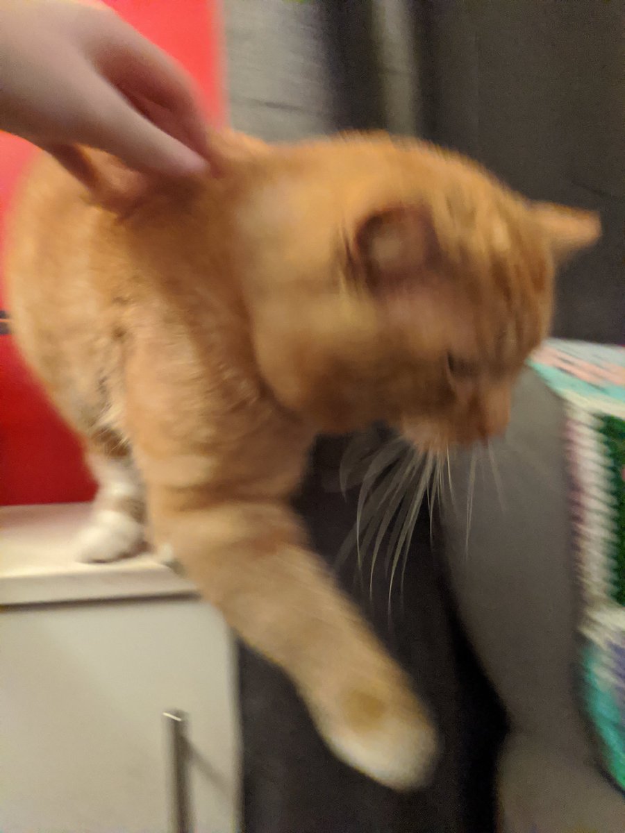 Bilbo starts to run from a cabinet onto an armchair, frantically.