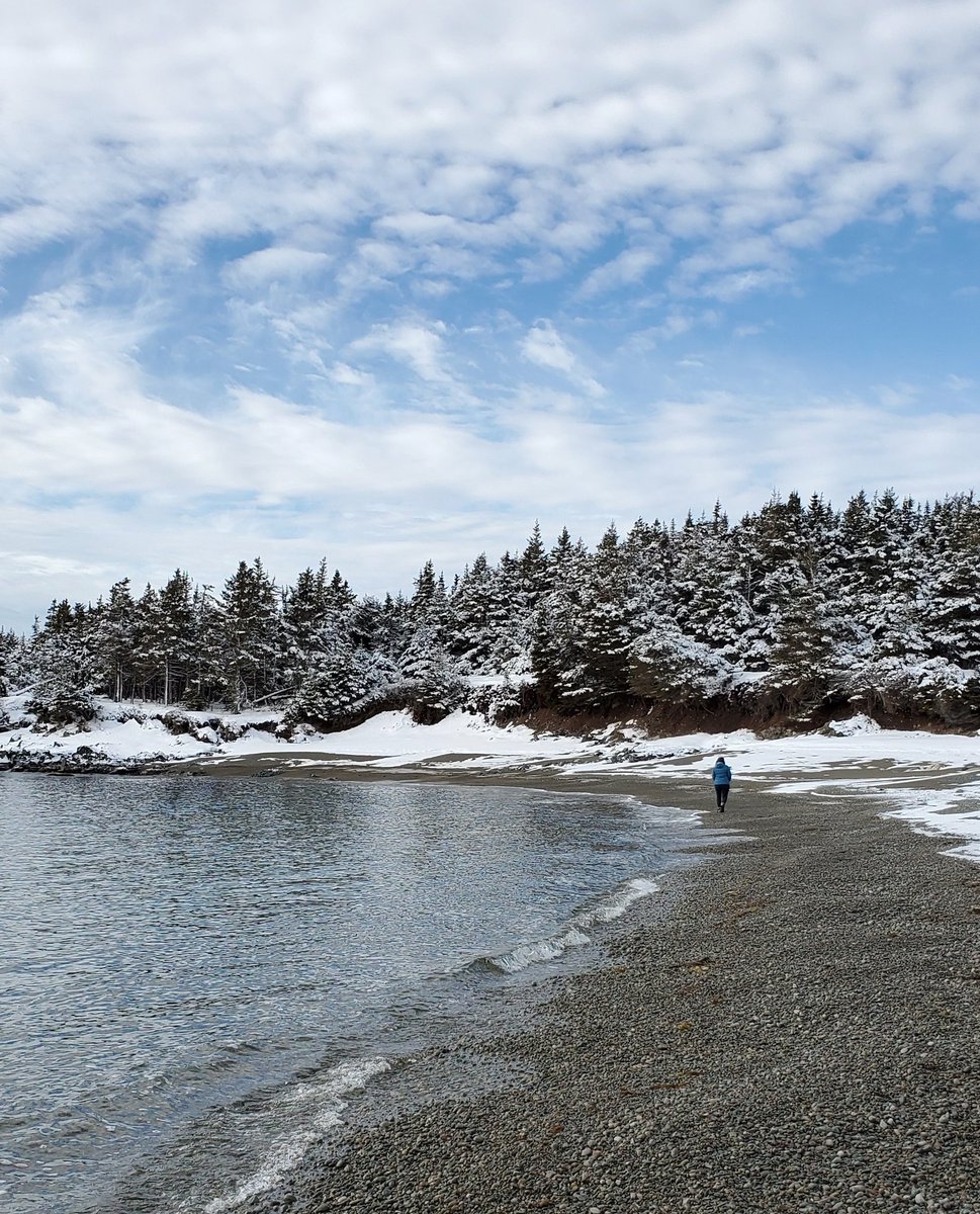 The beauty of getting out in the winter is having all of this to yourself #SaturdayFunday #blueskiesandsunshine #getoutside #keepexploring #explorecbwinter #visitcapebreton #capebretonisland