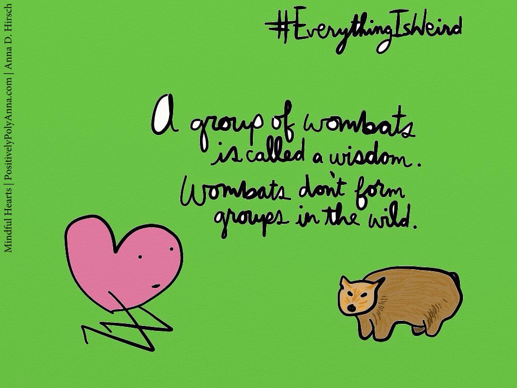 newpolyanna's tweet photo. 1st 500 (https://t.co/5GEWu31Ic7) acknowledged in the activity book, Room for Living (est 2025).
*
#MindfulHearts | https://t.co/sTfpfmzXg4 | Anna D. Hirsch ~ https://t.co/nGLC4w3N7B ~ #mindful #heartful #MakeLoveVisible #BeginnersHeart #EverythingIsWeird #wombats #language https://t.co/On4FlGfmHl