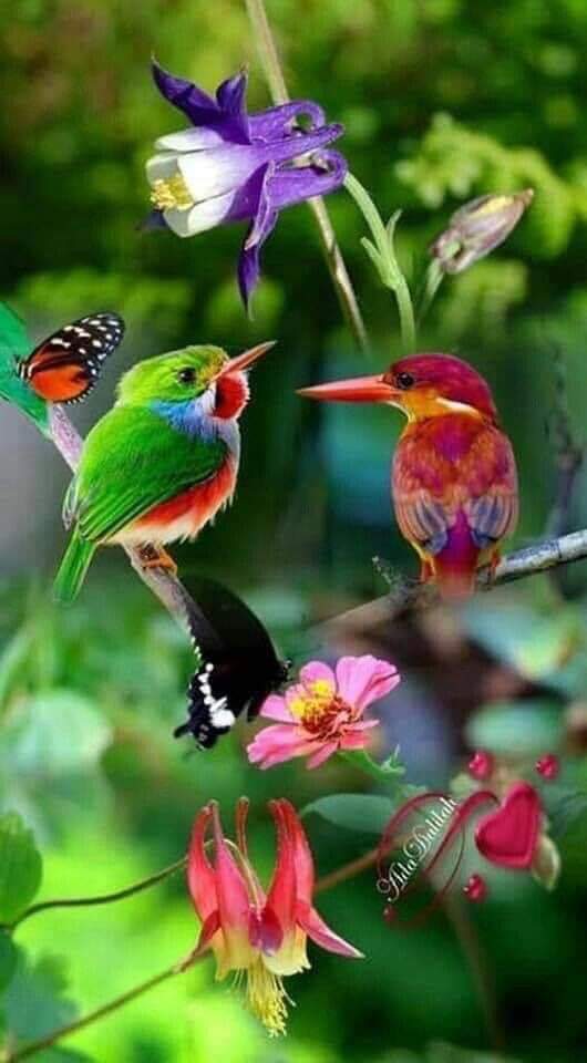 CoquetteEric's tweet photo. Bonjour, bon dimanche, un joyeux anniversaire à celles et ceux nés un 2 février. Prenez soin de vous, ❤🥀🐞🍀 https://t.co/5YuN7xLfj8