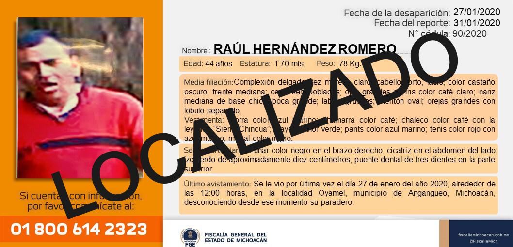 Ficha de búsqueda de Raúl Hernández Romero