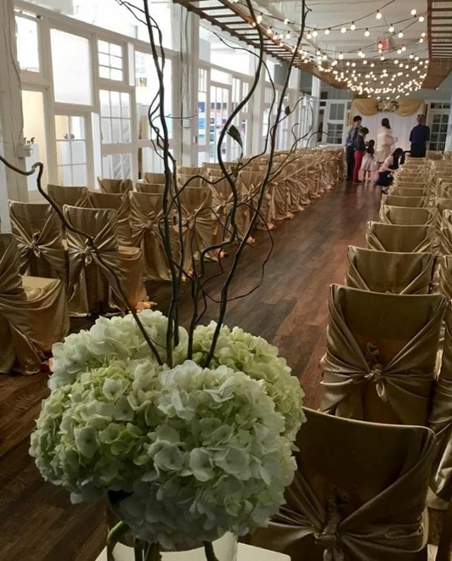 braidstweddings's tweet photo. This ceremony is taking on a very formal look with gold chair covers! ⁠
⁠
⁠
⁠
#newwest #newwestminster #sapperton #100braidst #vancouver #yvr #weddingdecor #formal #weddings #vancouverwedding #100braidstwedding #vancouverweddings #aisle #weddingday #… https://t.co/Ar57TZOswQ https://t.co/upkwy24ecs