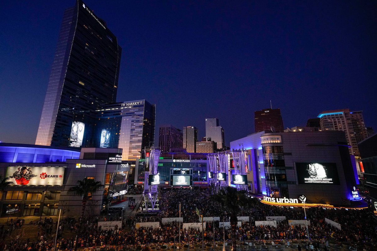 LAKings's tweet photo. 💜💛 https://t.co/rcG5svswU6