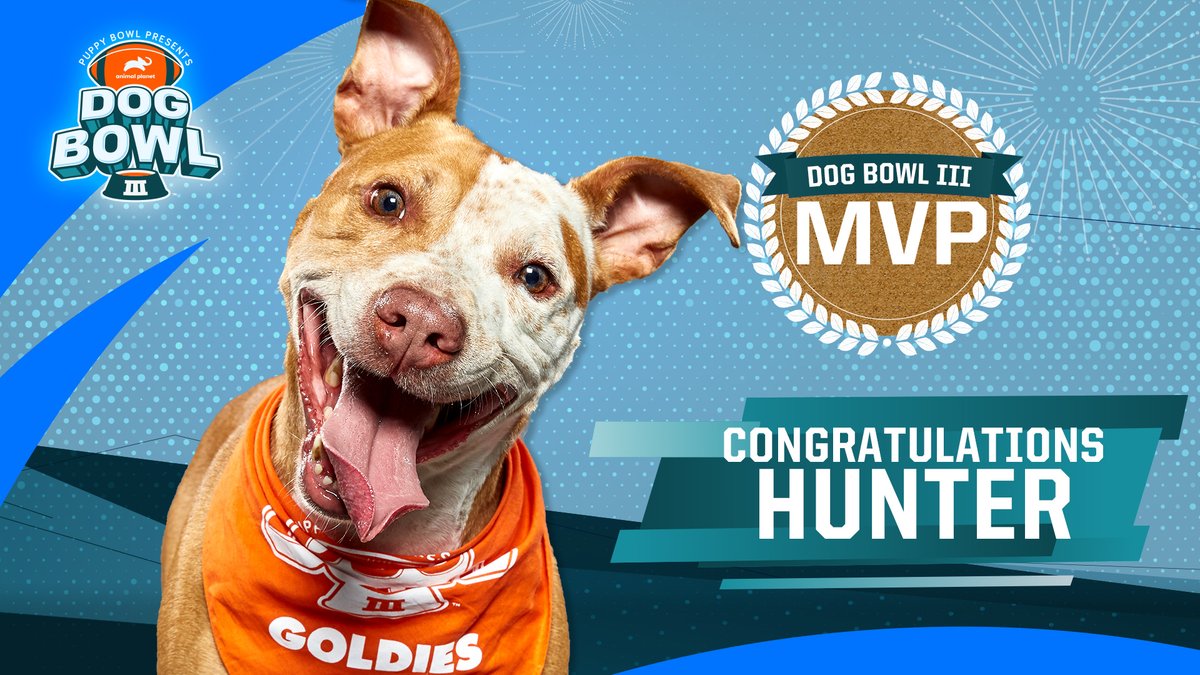 AnimalPlanet's tweet photo. The pit bull with the million dollar smile is your @MilkBone #DogBowl III MVP! Congrats Hunter! #ad https://t.co/A8gSe6CCXD