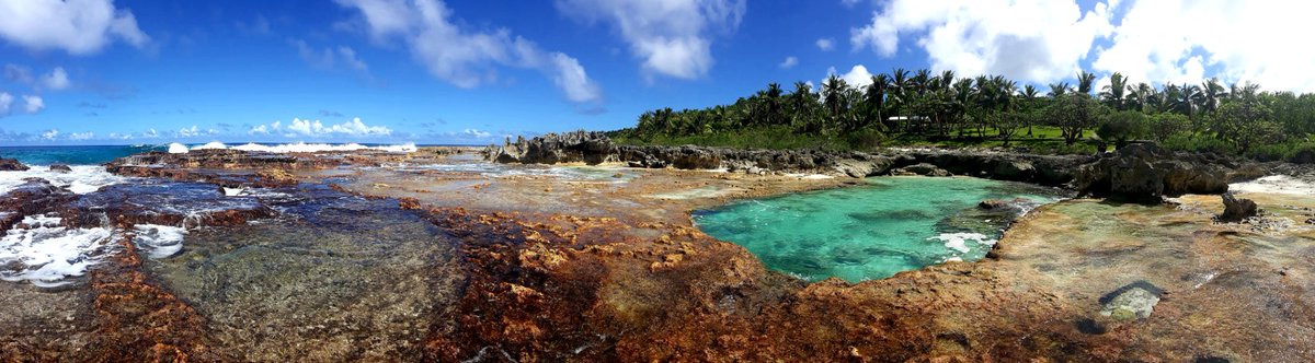 trinitymesiah's tweet photo. Paraisu 🌴🍃 https://t.co/zfGBDadgiG