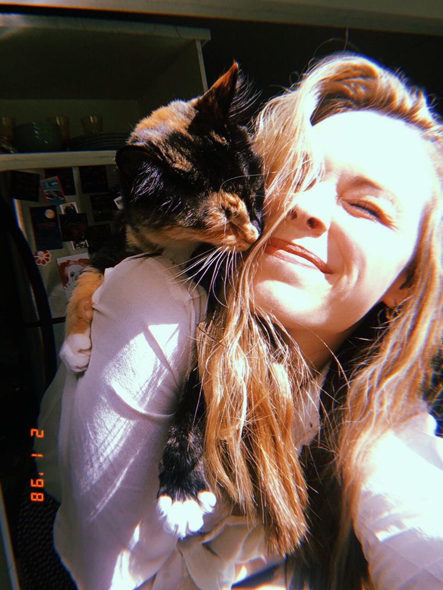 ReaganMDrake's tweet photo. A tiny Gem: A Collection https://t.co/ChAccrGtGc