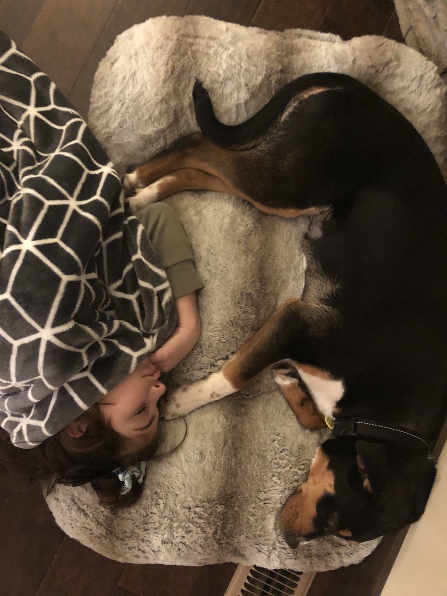 Jim Hummel tweet media