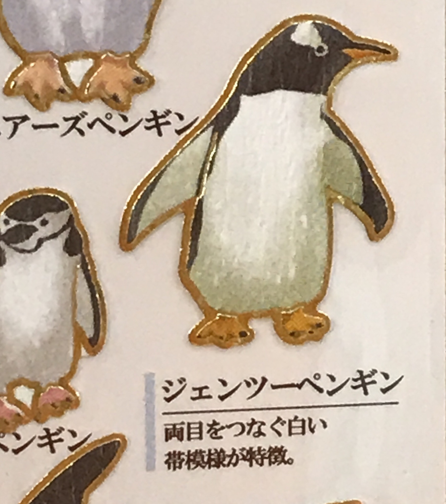 ペンギン姫さん 専用ページ Amazon | ジェンツーペンギン ビニールモデル(FM-309