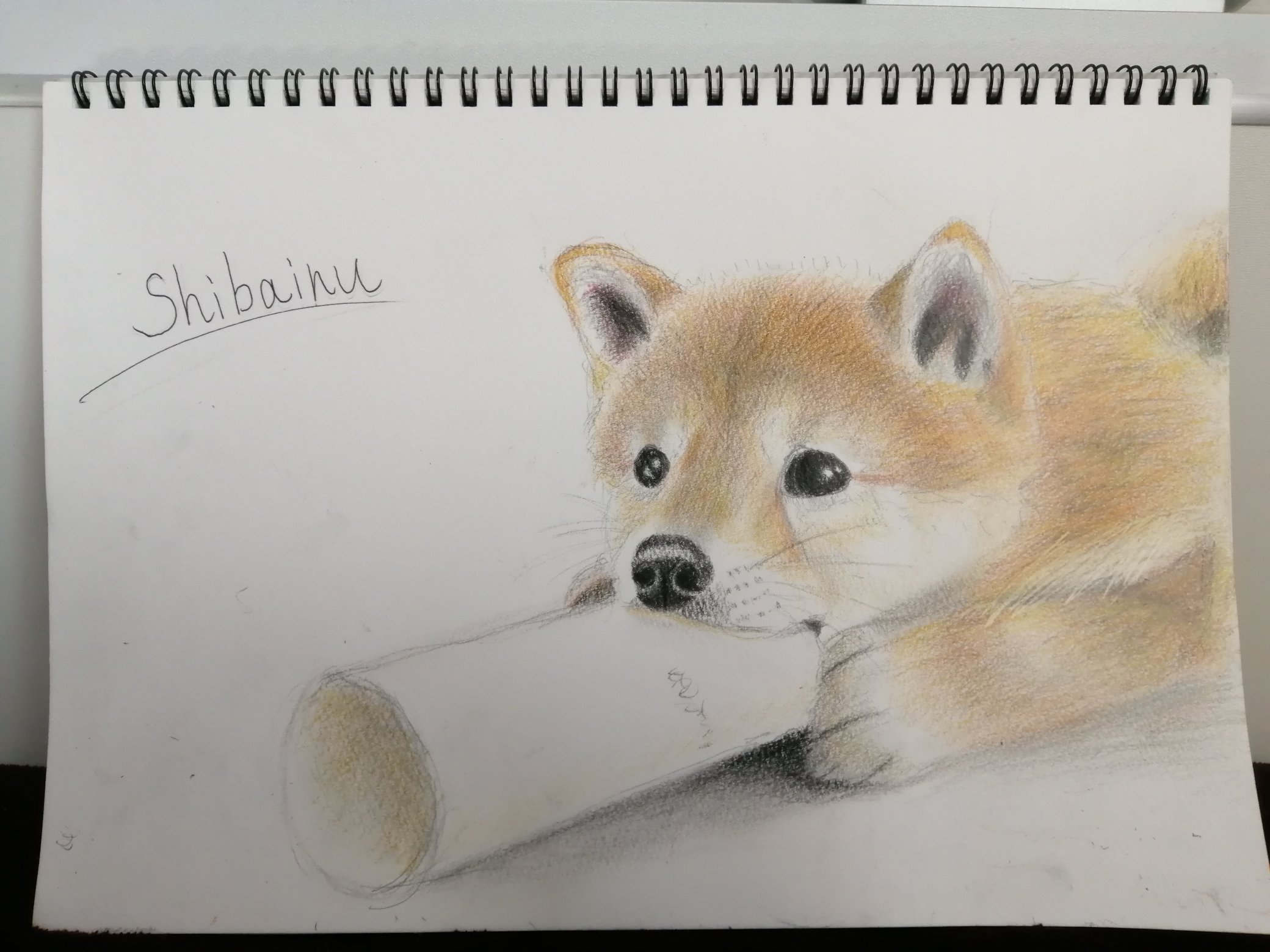 柴犬の絵 Twitter Search Twitter