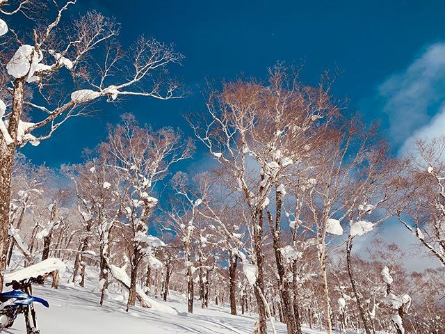 huntingnet1000's tweet photo. 快晴👍👍 #yetisnowmx #yetisnow #yetisnowbike #snowbike #スノーバイク#hasqvarna #fe501 https://t.co/cYW9nhqc4s https://t.co/HFfgKMJZDN