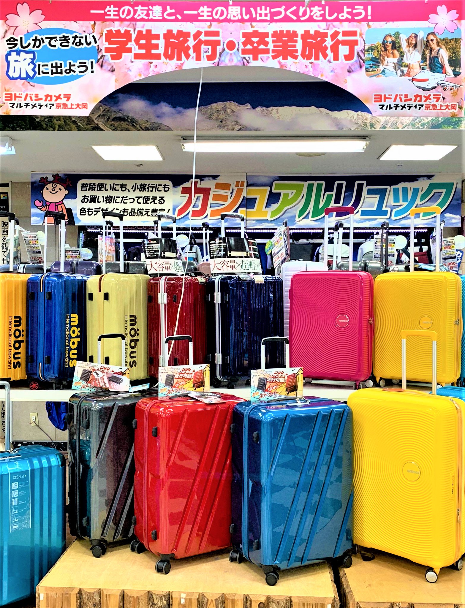 ヨドバシカメラ 京急上大岡店 On Twitter 学生のお客様にお得なキャンペーン スーツケース を購入時 学生証のご提示で対象モデルがヨドバシ価格から10 割引に 対象商品など 詳しくは店頭でご案内します ぜひ9fスーツケースコーナーにご来店ください