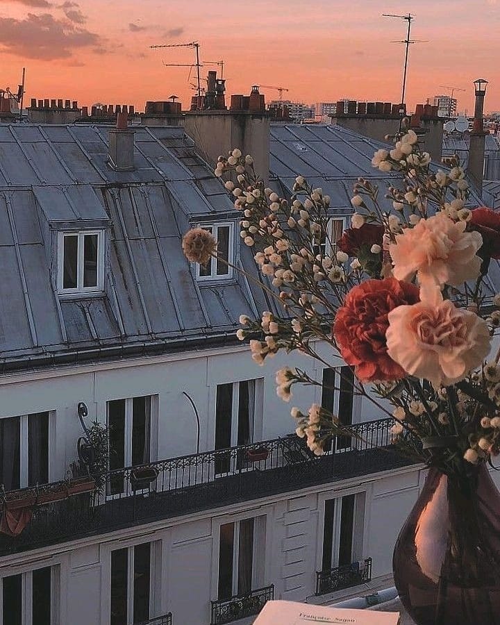 Smooth Wax Bar tweet media