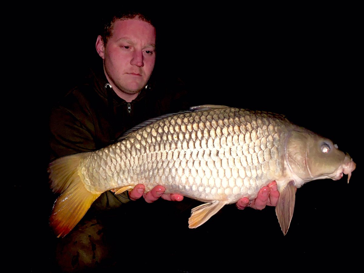 12lb 7 it’s a bite less hope there’s more not far behind