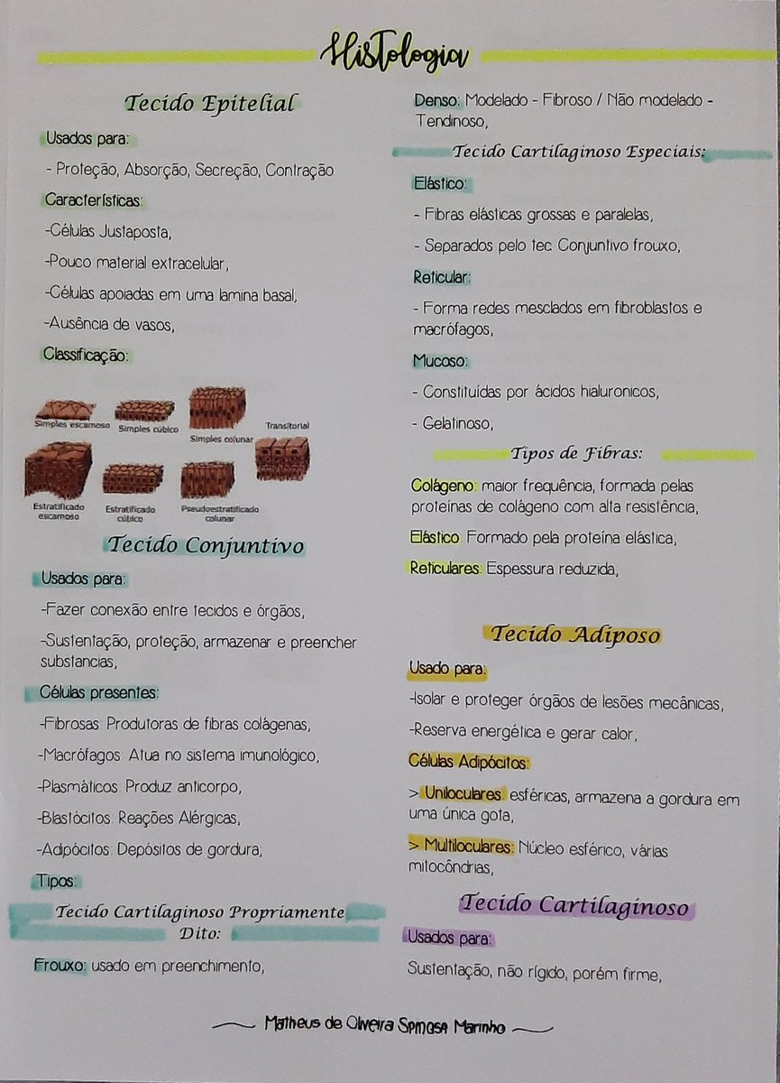 biomedlife_'s tweet photo. Resumo de Histologia, tipos de tecido..
Acompanhe resumos, e a vida de um acadêmico na biomedicina.
Quer o resumo também? peça via DM
#biomedicina #calouro #biomed #biocel #biologia #estudante #medicina https://t.co/Of1YXDsYq3