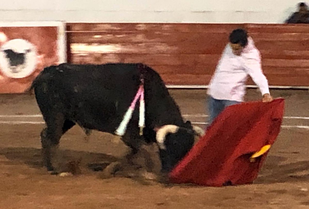 ¡Agradezco el detalle que tuvo la empresa en Cd. Lerdo para lidiar a muerte el novillo de reserva junto al matador Ernesto Javier “El Calita” a la usanza campera!