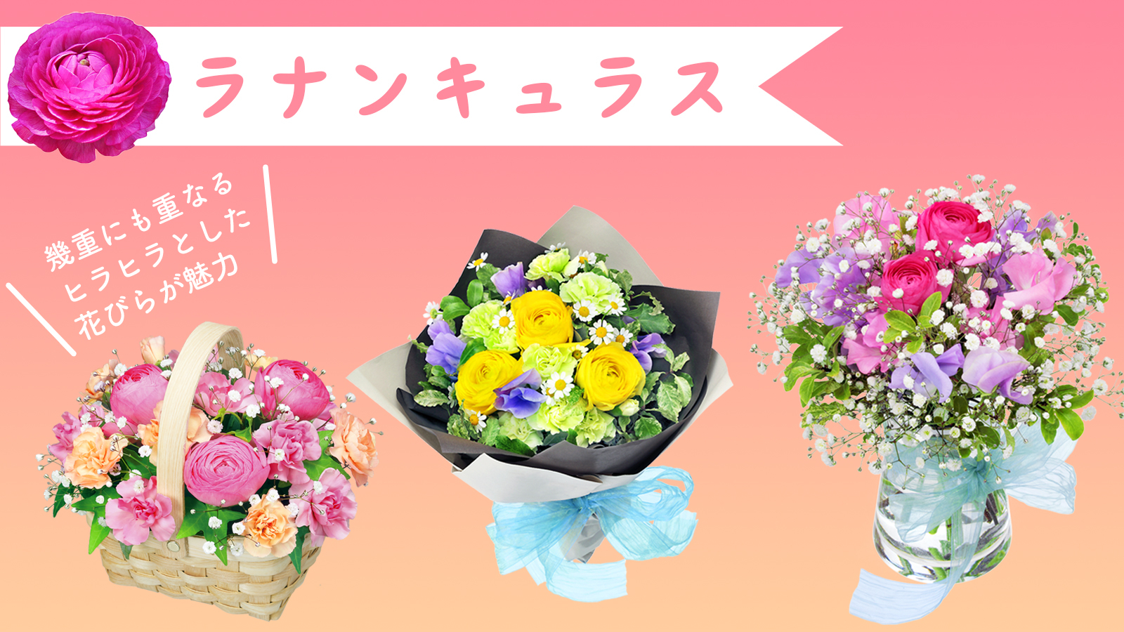 花キューピット I879 Com 公式 Pa Twitter 待ちに待ったラナンキュラス 春の花は多くの切り花が流通する時期ですが ラナンキュラスは花好きにファンも多い花です 可愛らしすぎるイメージを持ちがちですが 黄色のラナンキュラスであれば落ち着いていて男性
