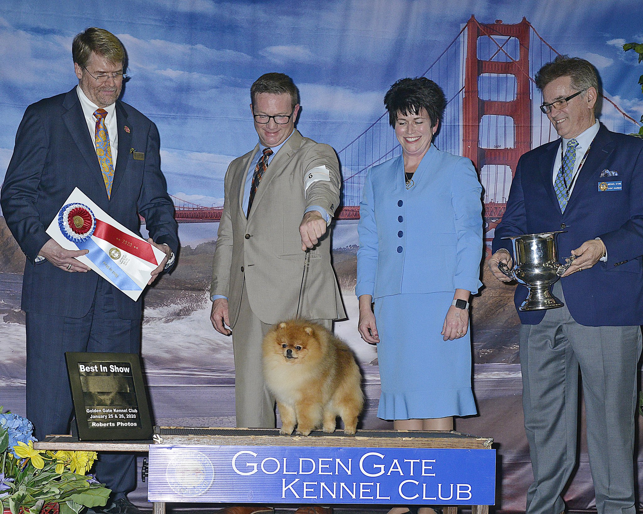 Golden Gate Kennel Club Dog Show (GoldenGateKC) / Twitter