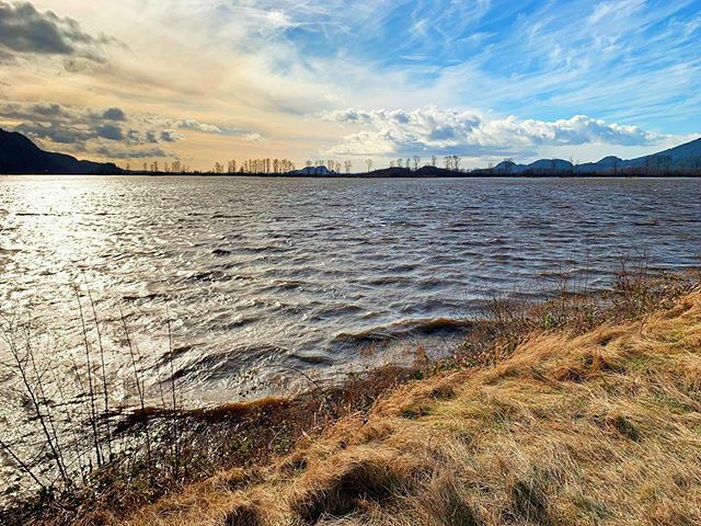 joewuq's tweet photo. #mountains #northshore #pnw #wanderlust #camping #vancouver #earthpix #mecnation #landscapes #ourplanetdaily #hikebc #hiking #naturephotography #bestmountainartists #vancouvertrails #awesomeearth #gooutside #yvr #yourbcparks #nature_wizards #pnwonderland… https://t.co/jgzGf6peeV https://t.co/WwWPVH5fDh