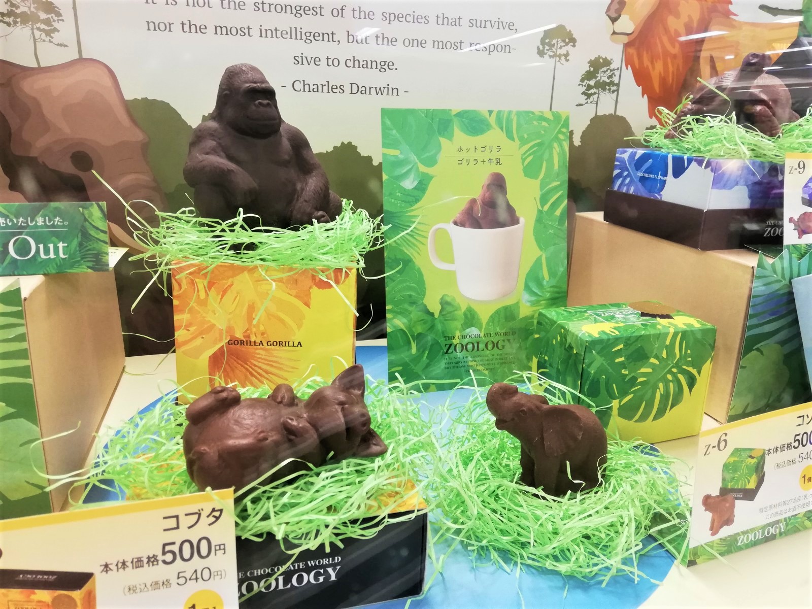 いいねいいね ドットコム運営局 スタッフ そしてアルプラザ香里園さんでは今年もバレンタインコーナーがドーンとありました 話題のゴリラチョコも発見して嬉しくなった私です笑 あ ゴリラ以外にもありますよ 香里園 寝屋川市 いいねいいねドット