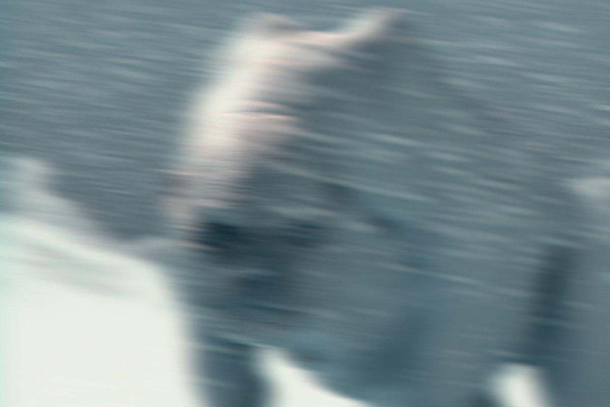 I like nature photography. A sample of my work entitled "Soul Mate." Don't pay no mind to the blur- I was preparing to amputate my tongue at the time and didn't focus the lens like I ought. I like it better this way though.