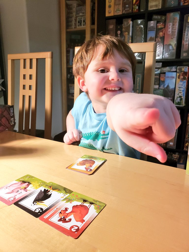 CohortVIIIGames's tweet photo. Playing #BarnyardRoundUp with our 4 year old and she's out-bluffing us. She's having a blast @DruidCityGames! #FamilyGameNight https://t.co/n27lZ7mccF