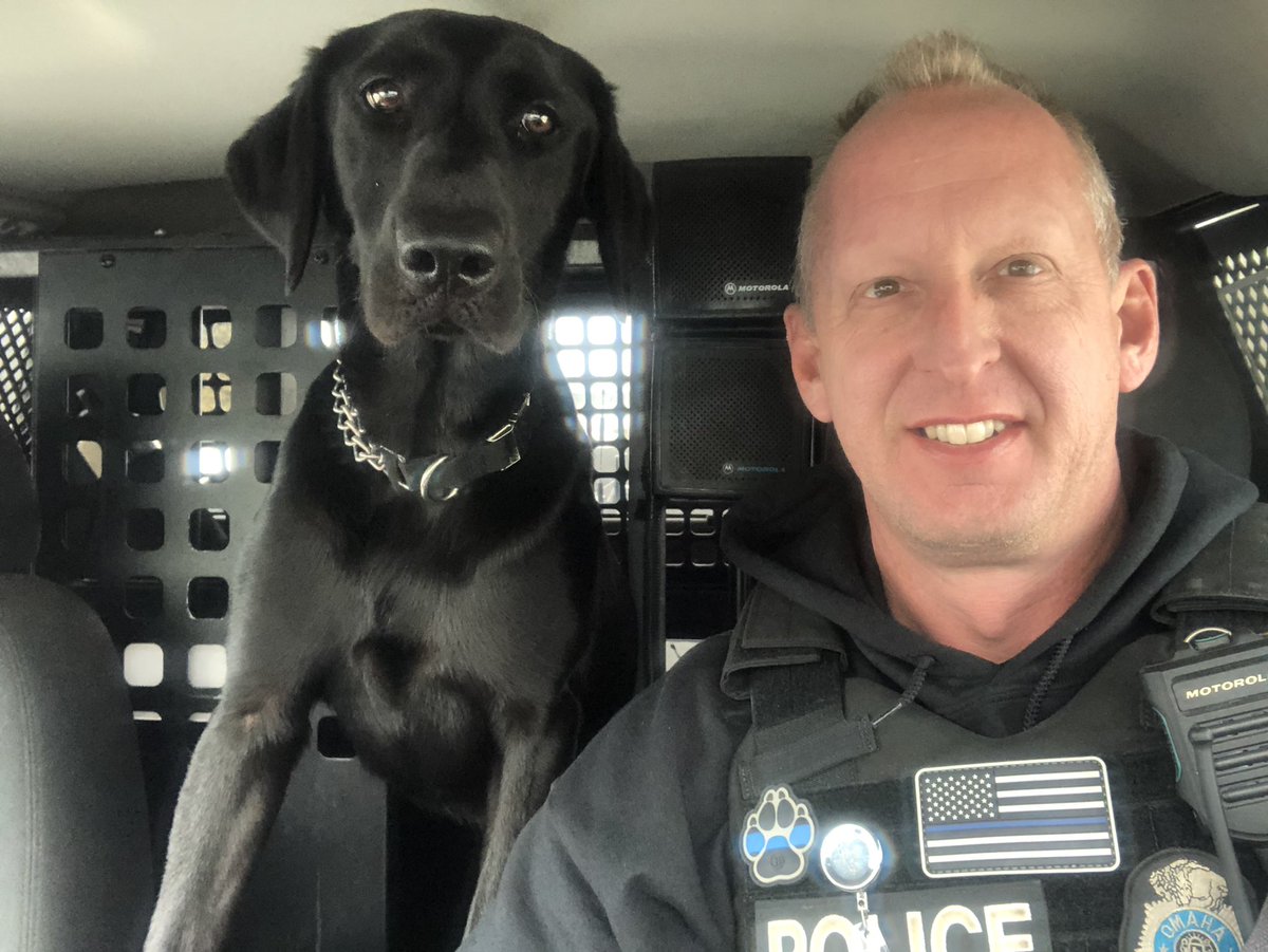 Dominic and I had a meeting tonight.  Dom decided he wanted his own Twitter account. 
You can find him <a href="/dominic_k9/">OPDK9Dominic</a> if you want to see any of his adventures.