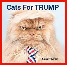 PVHenryConLLC's tweet photo. @Nutzer_019 @PennyLe15647073 @KAG1776MAGA @DaveSchreiber3 @sassygreeneyes4 @EdgeBoomer @NC1775Patriot @kevin_flitcroft @SweetTex93 @Krm1285A @kami8080801 @txcelat @WenMaMa2 @HenryN2020 @ShawnG927 @RNinMI @shipmate68 @jtnoerr @kbr_kag Nice!
@Zippityd00dah New Kitty Recruit!
#CatsForTrump *
*Registered 501(c)4 affiliate of #CATPAC
A Licensed & Reg. PAC & Subsidiary of the FEC Registered #FelinesUnitingRepublicans Carey Committee (No Direct Endorsement of any Individual Candidates) & 441(a)(d) https://t.co/AGpW0F1tBK
