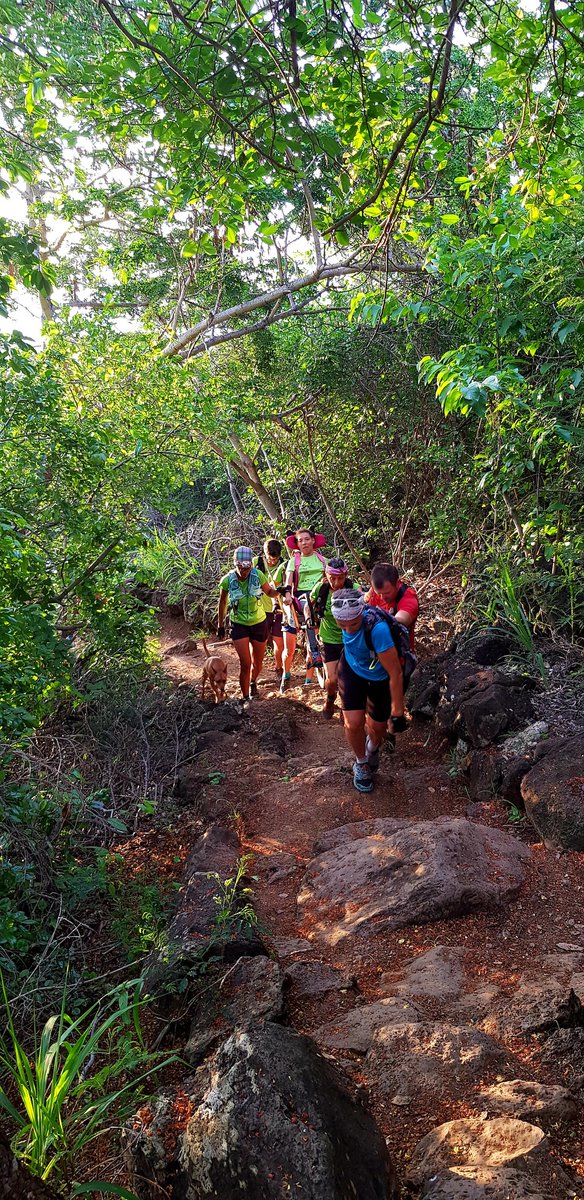 picsous44780's tweet photo. Vendredi soir avec Noémie nous sommes allés au Bassin Vital puis nous avons testés le chemin Cheval. Un beau parcours bien physique et technique pour la joëlette mais avec des points de vue magnifiques 😍😍
#RHM #runhandimove #joelette #handisport #Apivia #noutienbonoulargpa https://t.co/mfm8F3z46q