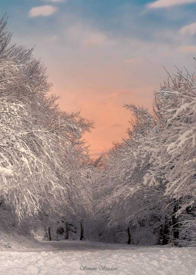 sciuto_agata's tweet photo. @MarcelloAtanas @RobertoGranai @lori_gianna @Venere781 @29marzolina @Aquilottoblu @marcovolpicell @dicuonzobt @guagnano_paolo @massimo3651 @ToniaAntonella @MolaschiClara @ArgentonViviana @carmenjaratn @RosettaBarbass1 @betyzapi @CristinaShonny @JermannPeter @RBarbasso @GadottiRenza @Marilu08714243 @davidedigirola1 @usai1951 @Presciani68 @angelichina2 @giusepp72655693 @pierafilippo3 @muracristina1 @porterAI ร l'alba ๐
di un nuovo giorno, quindi abbandonate le brande e correte ๐โโ๏ธ๐โโ๏ธ nel #vagoneristoro ๐ #Buongiorno #amicibelli ๐ญ๐ฌ๐ซ #buomadomenica ๐ #2febbraio #buonacanderola ๐ฏ
#Baciocolazione ๐ ๐ฅ โ a tutto il #carrozzone ๐ https://t.co/apE2mqLPgs