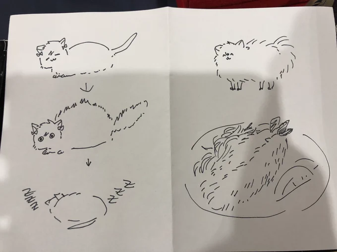 クソ落書きです
(麦) 