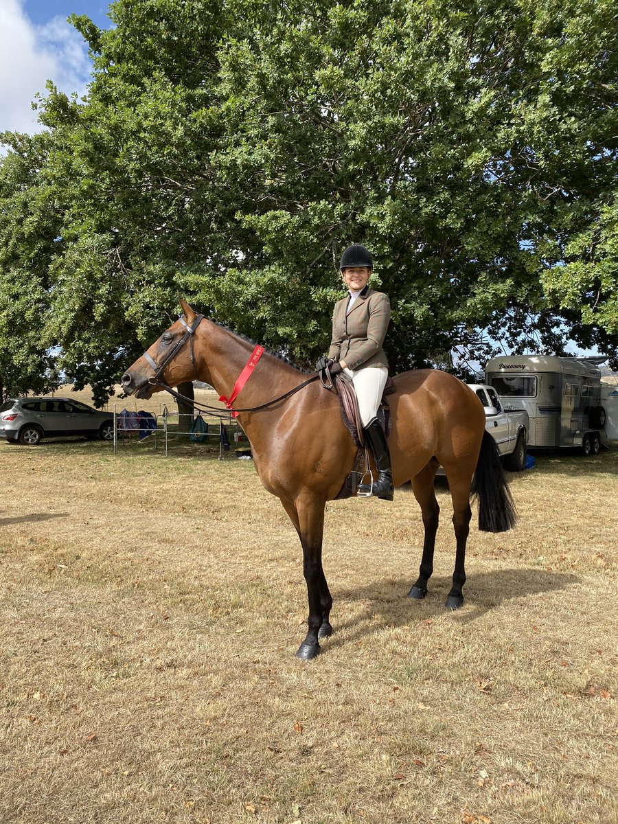 tomryan09's tweet photo. Vatuvei aka Willie strutting his stuff today at Ruffy show with @JemimaDraper @AusJumpsRacing @RV_OffTheTrack https://t.co/P1cRLvbBQd