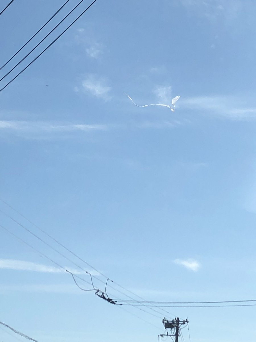 ゲゲゲの鬼太郎 一反木綿 Twitter Search