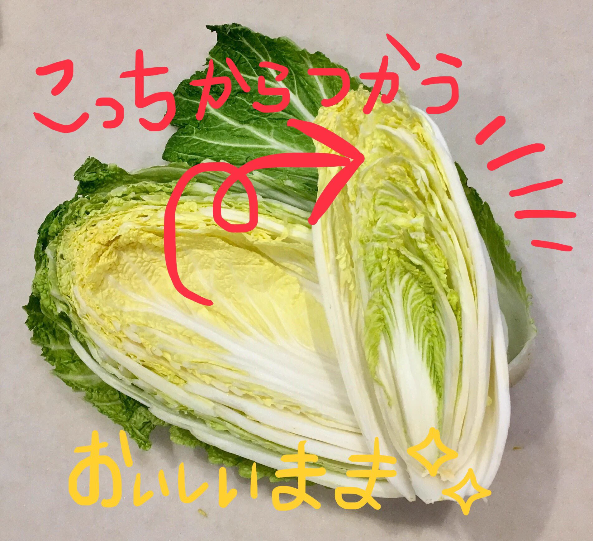 意外と知られていない裏ワザ！白菜は内側から使っていくとより美味しく食べられる！