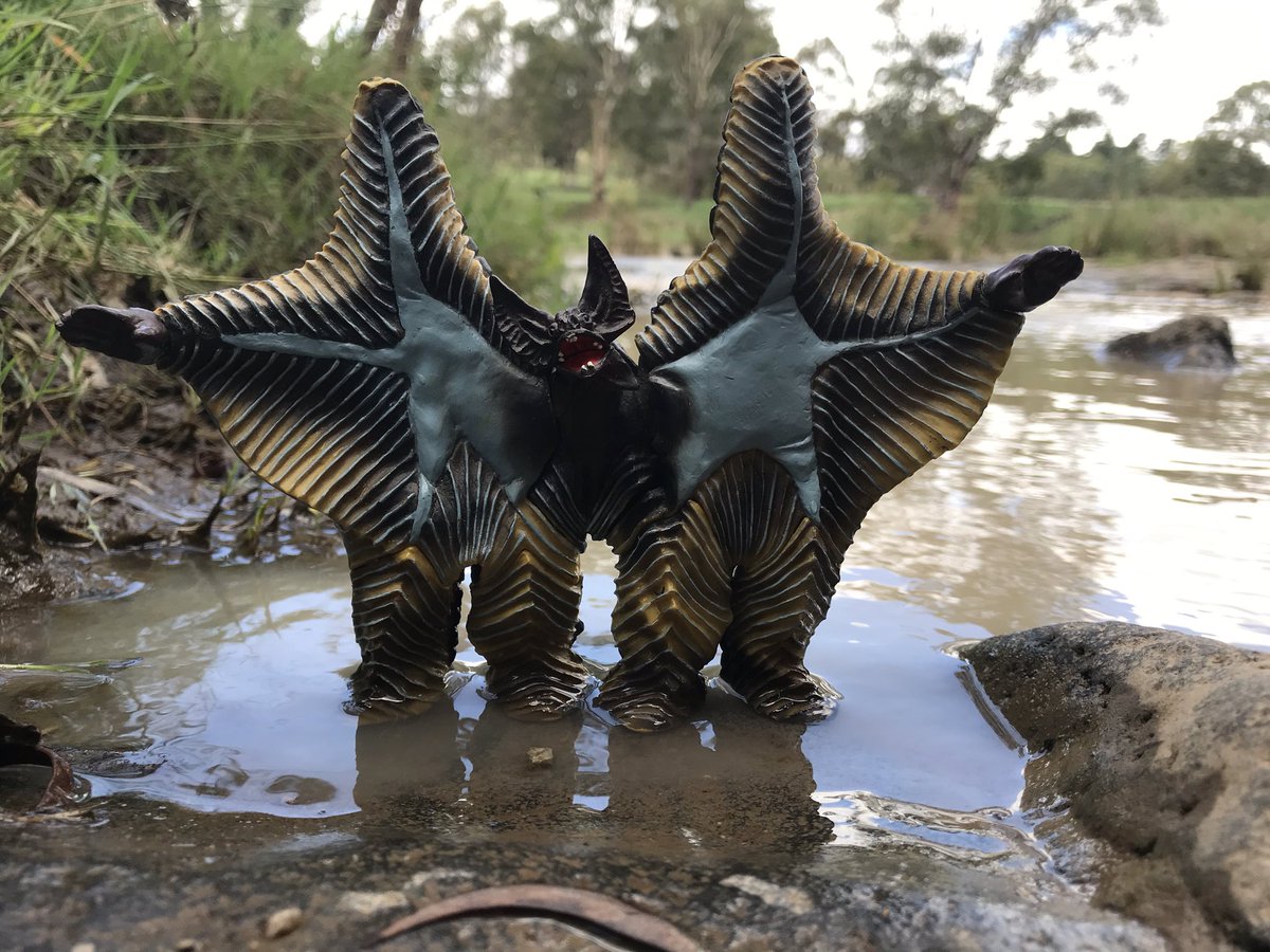 robot_goose's tweet photo. Pestar Gallery
#kaiju #ultraman #naturephotoshoot #kaijuphotography #toyphotography #figurephotgraphy #outbackphotography #naturephotography #toyphotoshoot https://t.co/7i44zekbgF