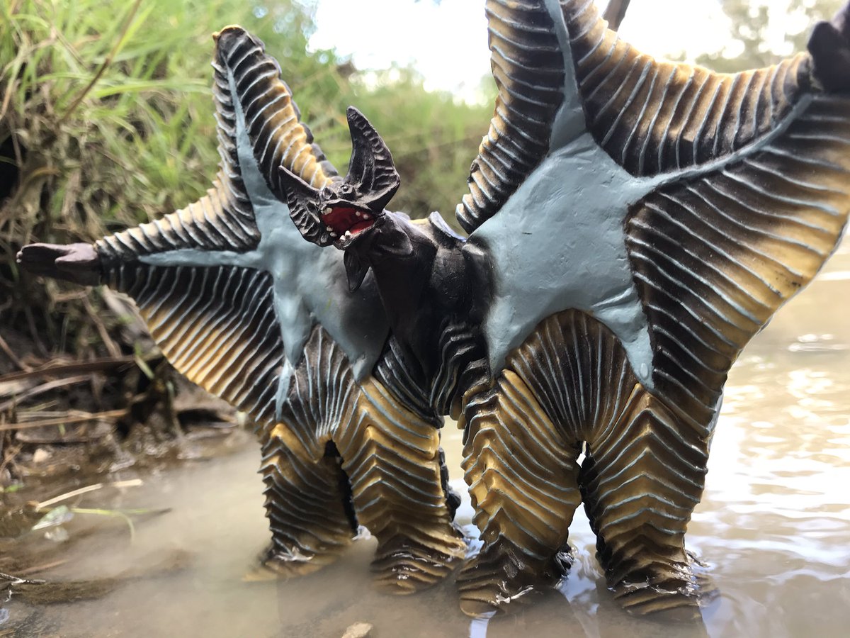 robot_goose's tweet photo. Pestar Gallery
#kaiju #ultraman #naturephotoshoot #kaijuphotography #toyphotography #figurephotgraphy #outbackphotography #naturephotography #toyphotoshoot https://t.co/7i44zekbgF