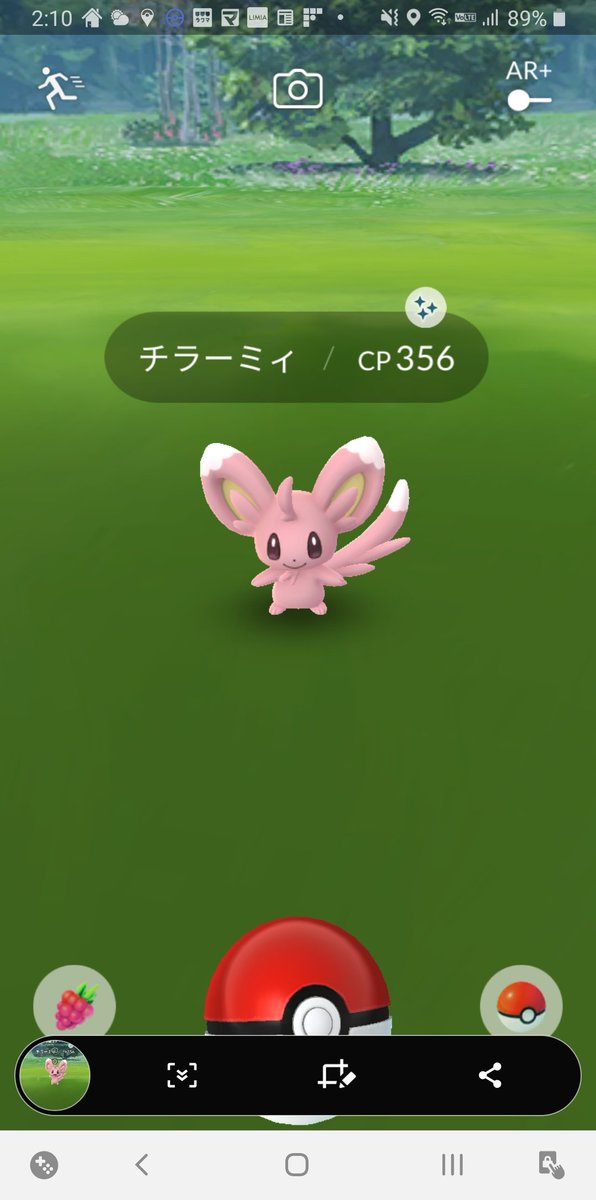 Yi 初っ端色違いキター ポケモンgo 色違い チラーミィ
