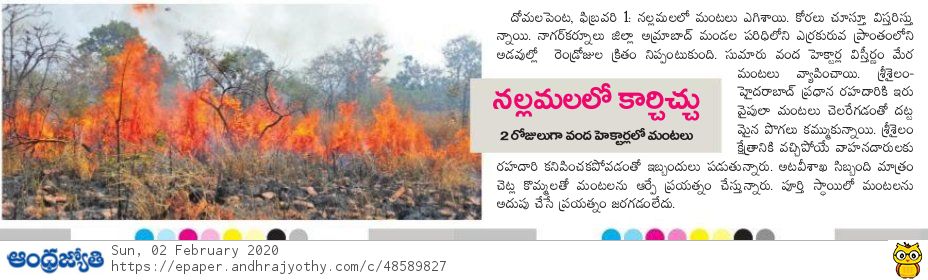 AbdulmajeedBRS's tweet photo. నల్లమల్ల లో రెండు రోజులుగా 100 హెక్టార్లలో మంటలు. అటవీశాఖ సిబ్బంది మంటలు ఆర్పడం లో విఫలం. అగ్నిమాపక సిబ్బందిని పంపాల్సిందిగా కోరుతున్నాను @KTRTRS Sahab #Greenindiachallenge #Nallamala #Amrabad #FireCatch #Help #Telangana #Achampet https://t.co/0jZvTGMxeS
