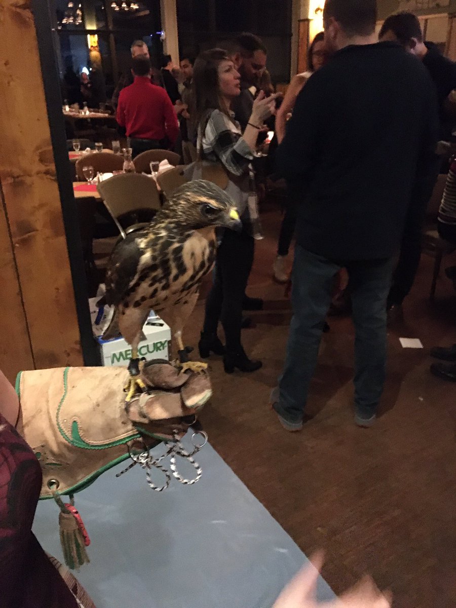 MCorriereMD's tweet photo. Birds of prey (!) @VESurgery presidential banquet https://t.co/Dz9OSD8545