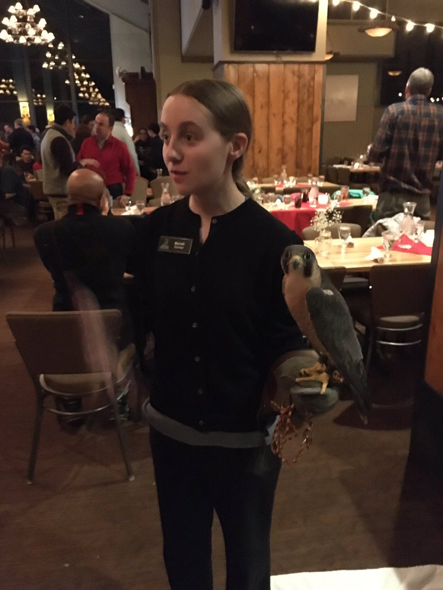 MCorriereMD's tweet photo. Birds of prey (!) @VESurgery presidential banquet https://t.co/Dz9OSD8545