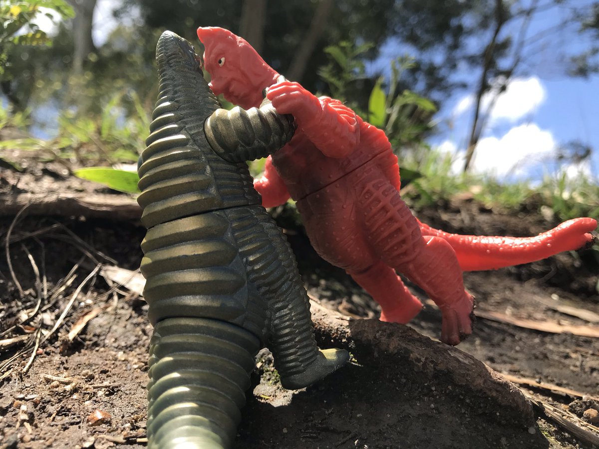 Red King III Vs Banilla Gallery
#ultraman #kaiju #toyphotography #toyphotoshoot #figurephotography #kaijuphotography #naturephotography #australianoutback