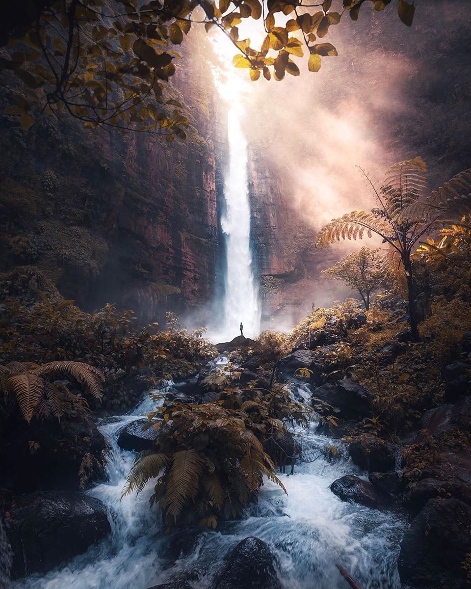 MartinaRosemann's tweet photo. Indonesia #indonesia @PicPublic https://t.co/z4G3ZE8ZBC