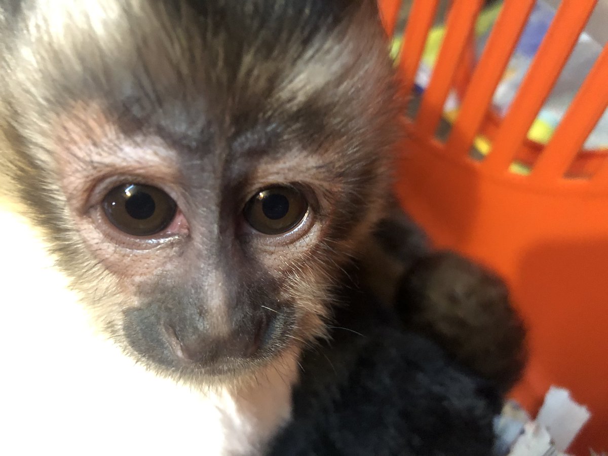 Wildclub Nagoyawildcub Twitter Wildclub Nagoyawildcub Twitter
