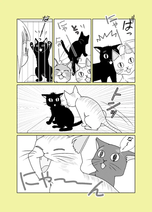 【ねこはねこかぶり】60手前でねこを飼う①(2/2)#にゃんにゃんにゃんの日 #ねこはねこかぶり #ねこ漫画 