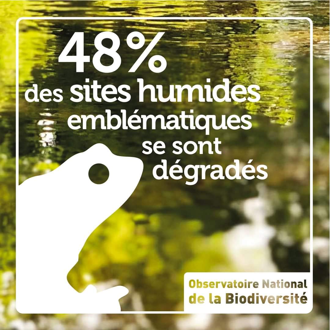 OFBiodiversite's tweet photo. [#ObservatoireBiodiversite] 48% des #milieuxhumides se sont dégradés entre 2000 et 2010. #MaBiodiversité #biodiversité #ONB #BiodiversiteEnDanger #JMZH #ZonesHumides2020 #WorldWetlandsDay #ZonesHumides

⏩ En savoir + : https://t.co/n03sP9UjTc

Crédit : Pixabay License https://t.co/NrwZ4uDBjO