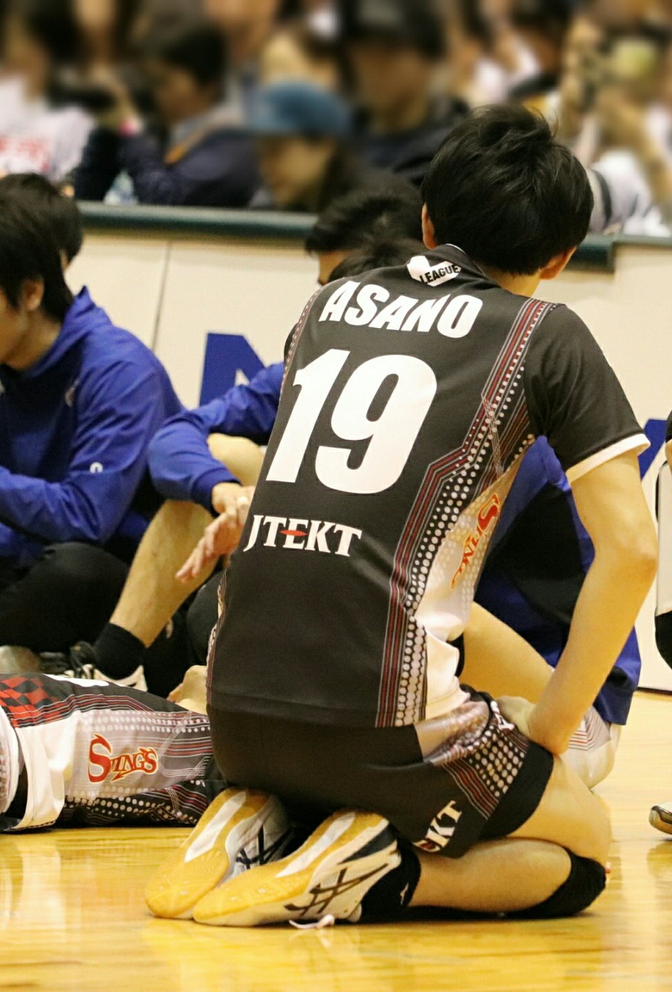 まり على تويتر ちょこんと正座する後ろ姿が可愛いかった浅野選手 0119 ジェイテクトアリーナ奈良 V1リーグ Vリーグはバレーだよ V沼 ジェイテクトstings 浅野博亮 選手